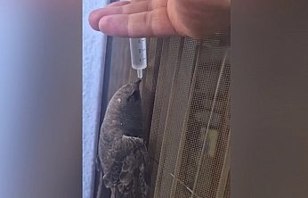 Elazığ'da iç ısıtan görüntü