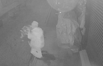 Elazığ'da ilginç hırsızlık! Poşete sığmayınca elinde taşıdı