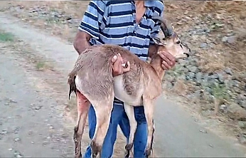 Elazığ'da insanlık ölmemiş dedirten davranış