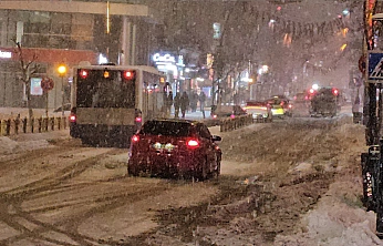 Elazığ'da kar yağışı etkisini sürdürüyor