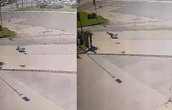 Elazığ'da Kargadan kaçarken taklalar attı