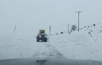 Elazığ'da karla mücadele: 130 köy yolu ulaşıma açıldı
