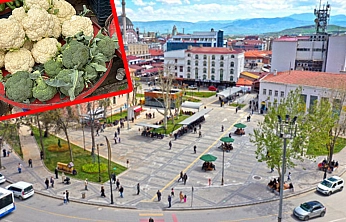 Elazığ'da karnabahar ve brokoliye talep artıyor