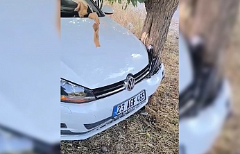 Elazığ'da kaza: 2 Yaralı