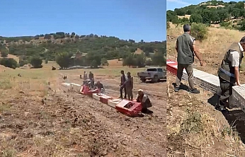 Elazığ'da kenelerle mücadele için doğaya Aslan (keklik) bırakıldı