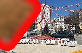 Elazığ'da kışın vazgeçilmez yiyeceği tezgahlardaki yerini aldı