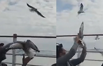 Elazığ'da Martıyla Kurulan Samimi Anlar Kameraya Yansıdı