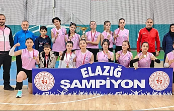 Elazığ'da  NFK  Anadolu Lisesi kız öğrencilerinden büyük başarı!