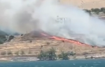 Elazığ'da orman yangını