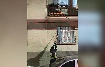 Elazığ'da pencere korkuluğuna yılan çıktı