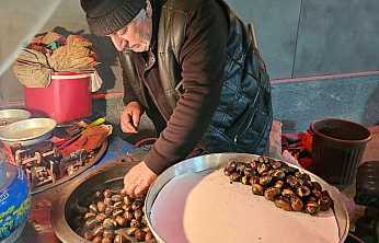 Elazığ'da pişmiş kestanenin tanesi 20 lira