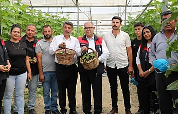Elazığ'da seralar yenileniyor, üretim güçleniyor