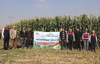 Elazığ'da silajlık mısır hasadı başladı: Üreticilere destek sürüyor