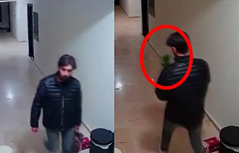 Elazığ'da sıradışı hırsızlık: Çiçek çaldı