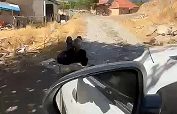 Elazığ'da şok görüntü: Yaşlı adam ağaca zincirlenmiş halde bulundu