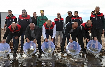 Elazığ'da su kaynakları canlanıyor: Kalecik Barajı'na 11 bin 800 sazan yavrusu bırakıldı