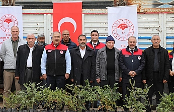 Elazığ'da sumak üretimi artıyor