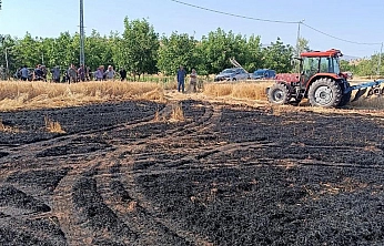 Elazığ'da tarla alevlere teslim oldu