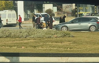Elazığ'da trafik kazası: 1 Yaralı
