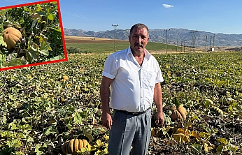 Elazığ'da üretilen o ürün dünyaya açılıyor
