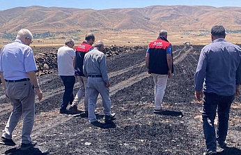 Elazığ'da yangın felaketi: 300 dönüm alan etkilendi