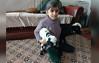 Elazığ'da yeni doğan kuzulara evde koruma
