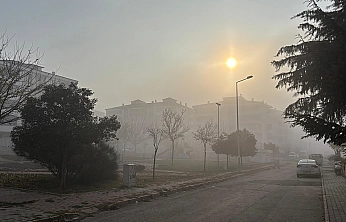 Elazığ'da yoğun sis etkili oldu