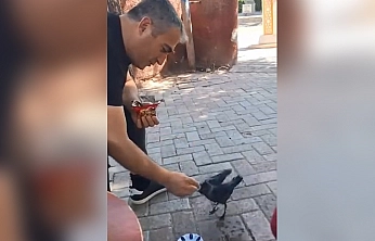 Elazığ'da yürek ısıtan an: Bitkin yavru kargaya kek ikramı
