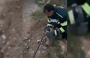 Elazığ'da yürek ısıtan kurtarma operasyonu