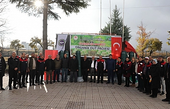 Elazığ'da 'Zahmetsiz Rahmet Dut' Projesinde yeni dönem başladı