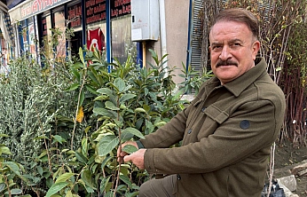 Elazığ dikim zamanı, sertifikasız ürünlerle zaman kaybetmeyin