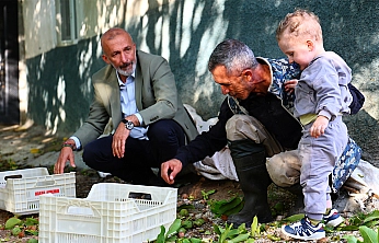 Elazığlı öğretmen 35 dönümlük bahçesinde ceviz üretiyor
