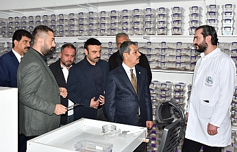Erol Keleş, akrep zehri üretimini yerinde inceledi