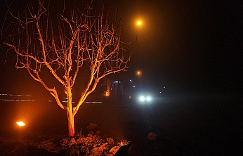 Harput Mahallesi'nde göz gözü görmedi
