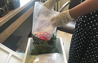 Hasat öncesi biberlerde pestisit denetimi yapıldı