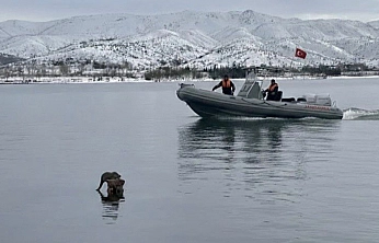 Hazar Gölü'nde su samuru görüntülendi
