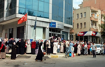 İŞKUR'dan 230 bin TL'ye varan maaşla bilişim personeli alımı