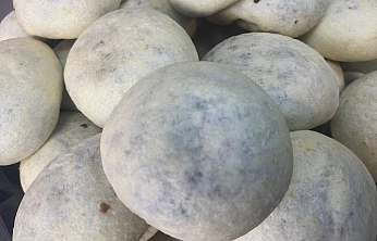 İzmir'in bombası Elazığ'a düştü