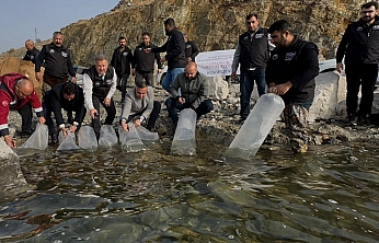 Karakaya Baraj Gölü'ne 420 Bin Yavru Balık Bırakıldı