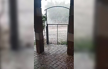 Karakoçan'da fırtına ve dolu hayatı olumsuz etkiledi