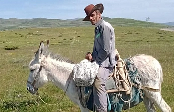 Karakoçan'da Kaybolan Eşeğini Bulana 5 Bin Lira Ödül