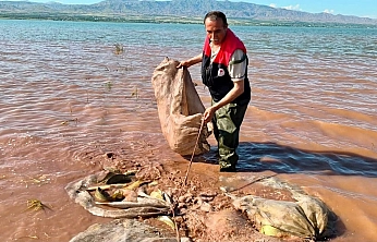 Keban baraj gölü'nde 700 kilogram canlı sazan balığı kurtarıldı