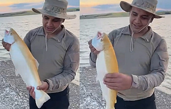 Keban Baraj Gölü'nde nadir bir av: Sarı albino alabalık yakalandı