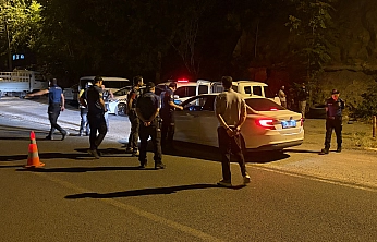 Maden'de geniş kapsamlı asayiş, trafik ve narkotik uygulaması