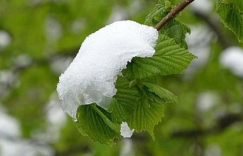Meteoroloji uyardı! Elazığlılar tedbirinizi alın