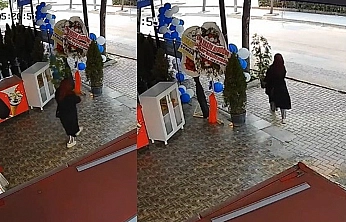 Renkli görüntülerle gri suç: Saksı hırsızlığı şaşırttı!