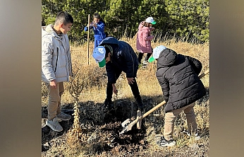 Sivrice'de fidan dikme etkinliği düzenlendi