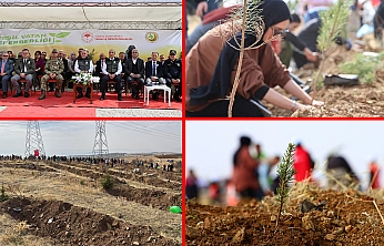 Törensel ağaç dikimleri