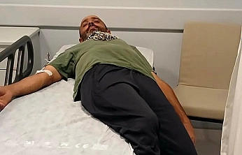 Tunceli'de Ayı saldırısından kaçan şahıs, kayadan düşerek yaralandı