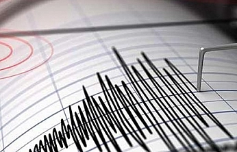 Van'da korkutan deprem